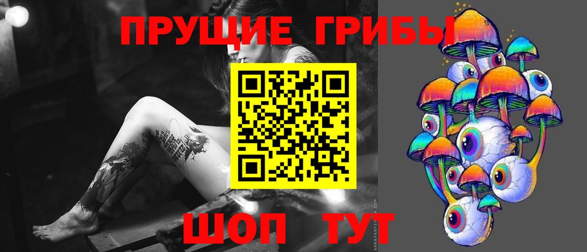 Галлюциногенные грибы MAGIC MUSHROOMS  Вход с VPN  Вольск 