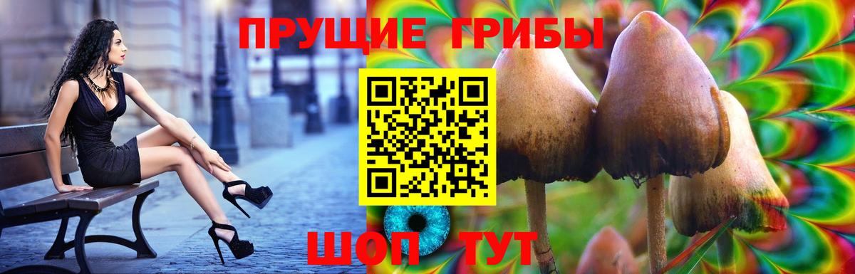 Галлюциногенные грибы MAGIC MUSHROOMS Вольск